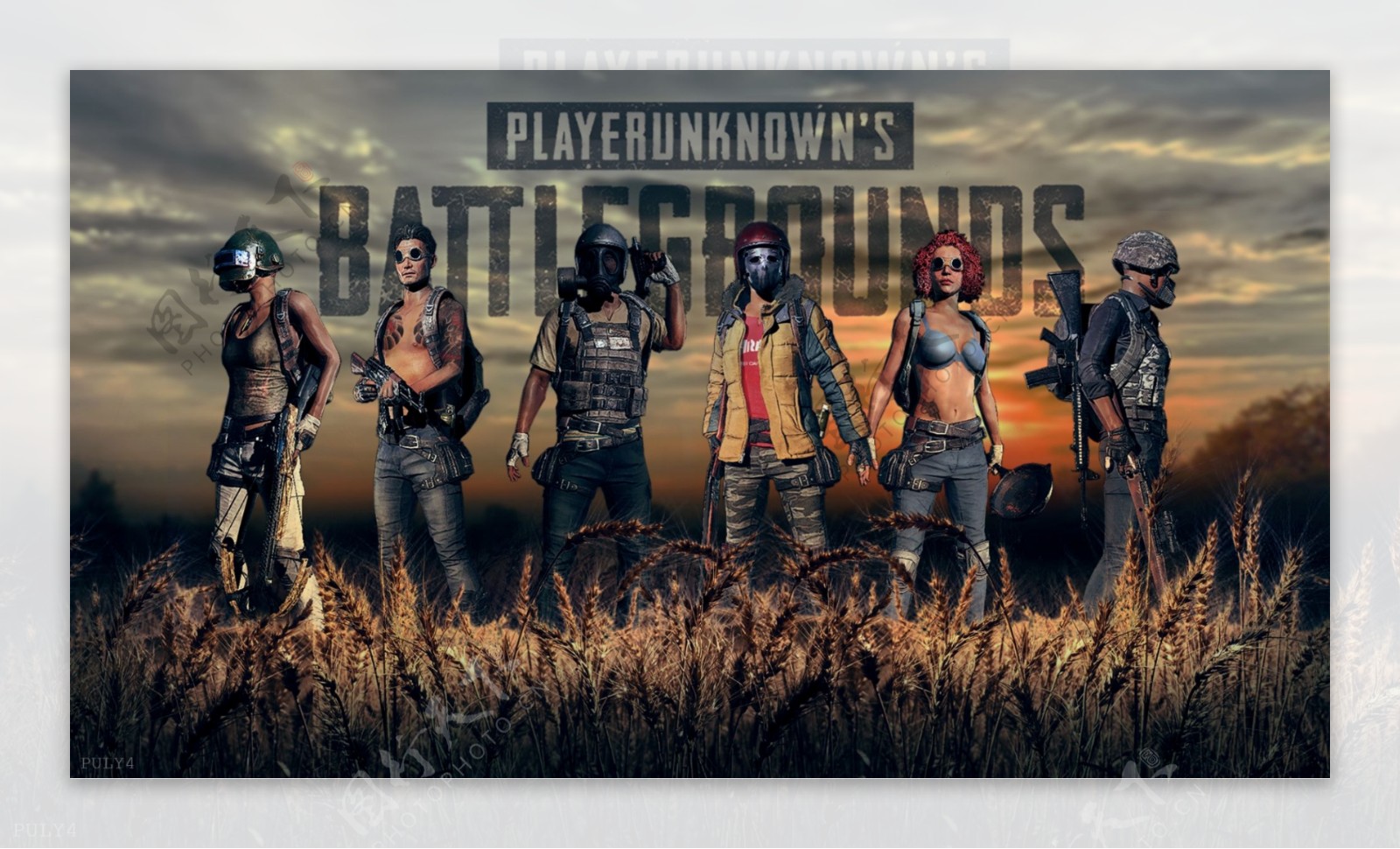 了最佳人选 了最佳人选