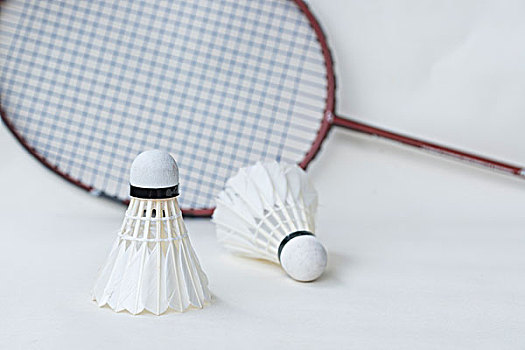 和球队稳定 和球队稳定