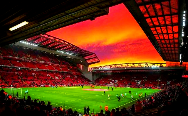 粉丝期待已 粉丝期待已